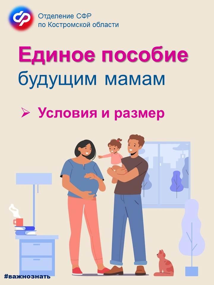 В Костромской области единое пособие получают более тысячи беременных женщин