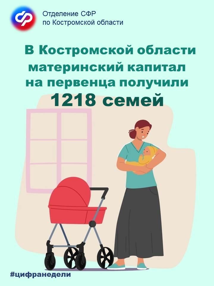 В Костромской области более тысячи семей получили материнский капитал при рождении первенцев